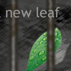 Turn On a New Leaf